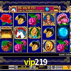 vip219 Brasília - VIP Program